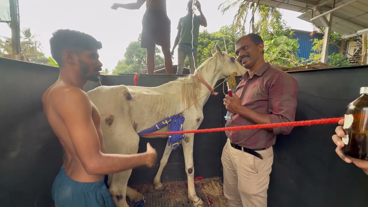 ഹൈദർ തിരിച്ചു വരും 