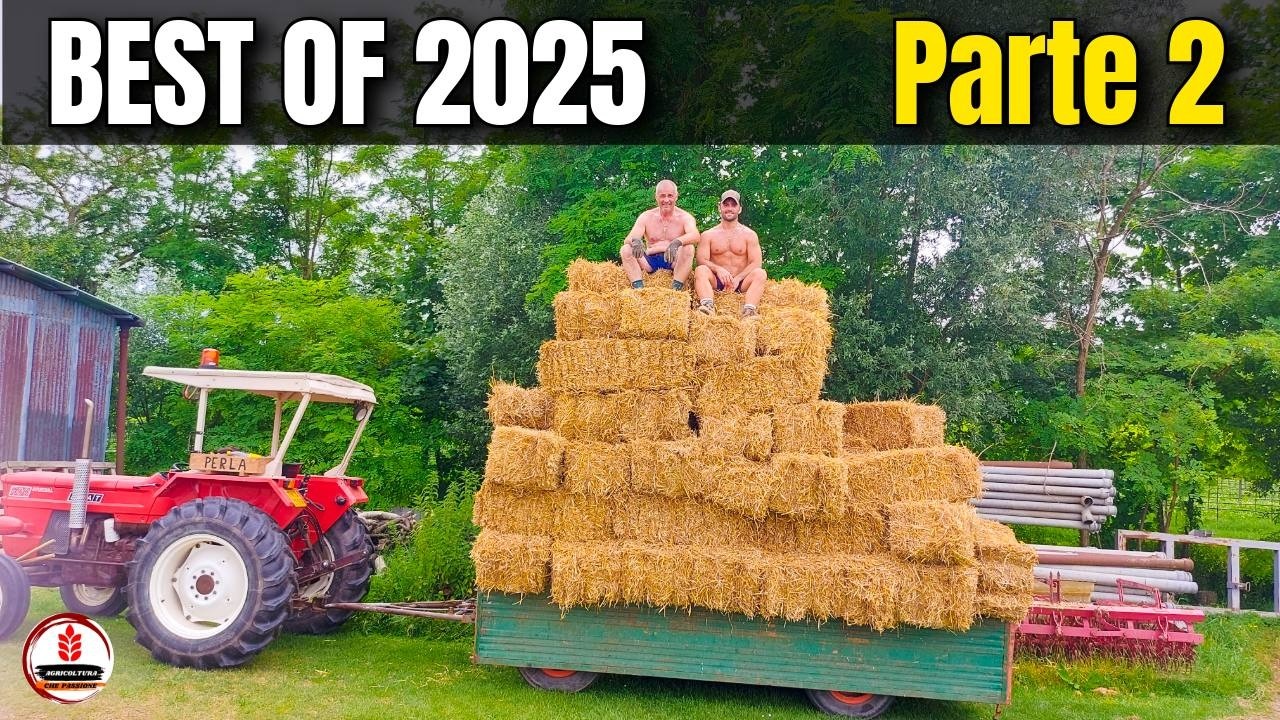 BEST OF AGRICOLTURA 2025 🚜 | Trattori, Aratura Trebbiatura Semina e lavorazioni agricole estreme