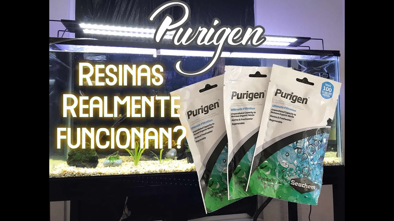 Resinas para acuario, PURIGEN realmente sirven? 🐟🐠🐡