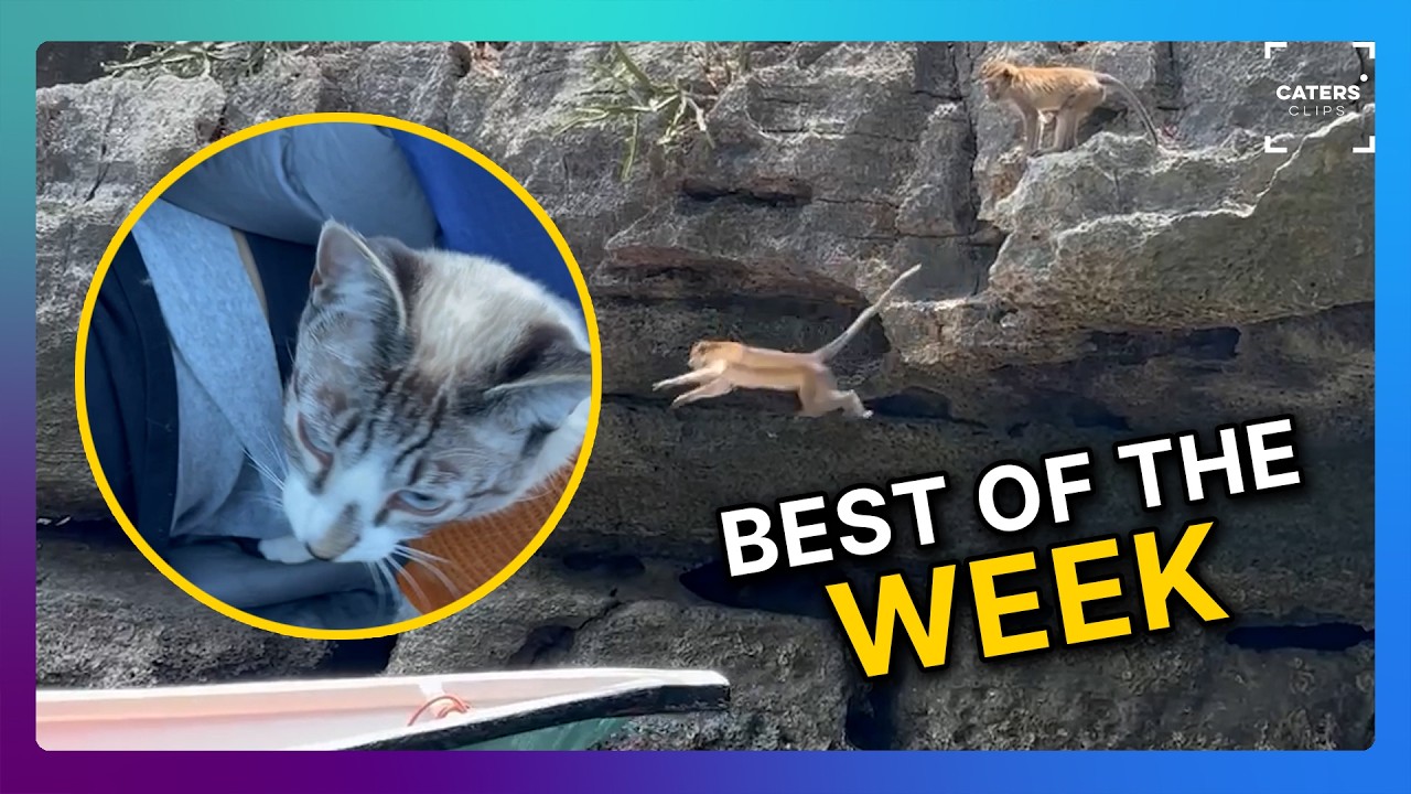 BEST OF THE WEEK