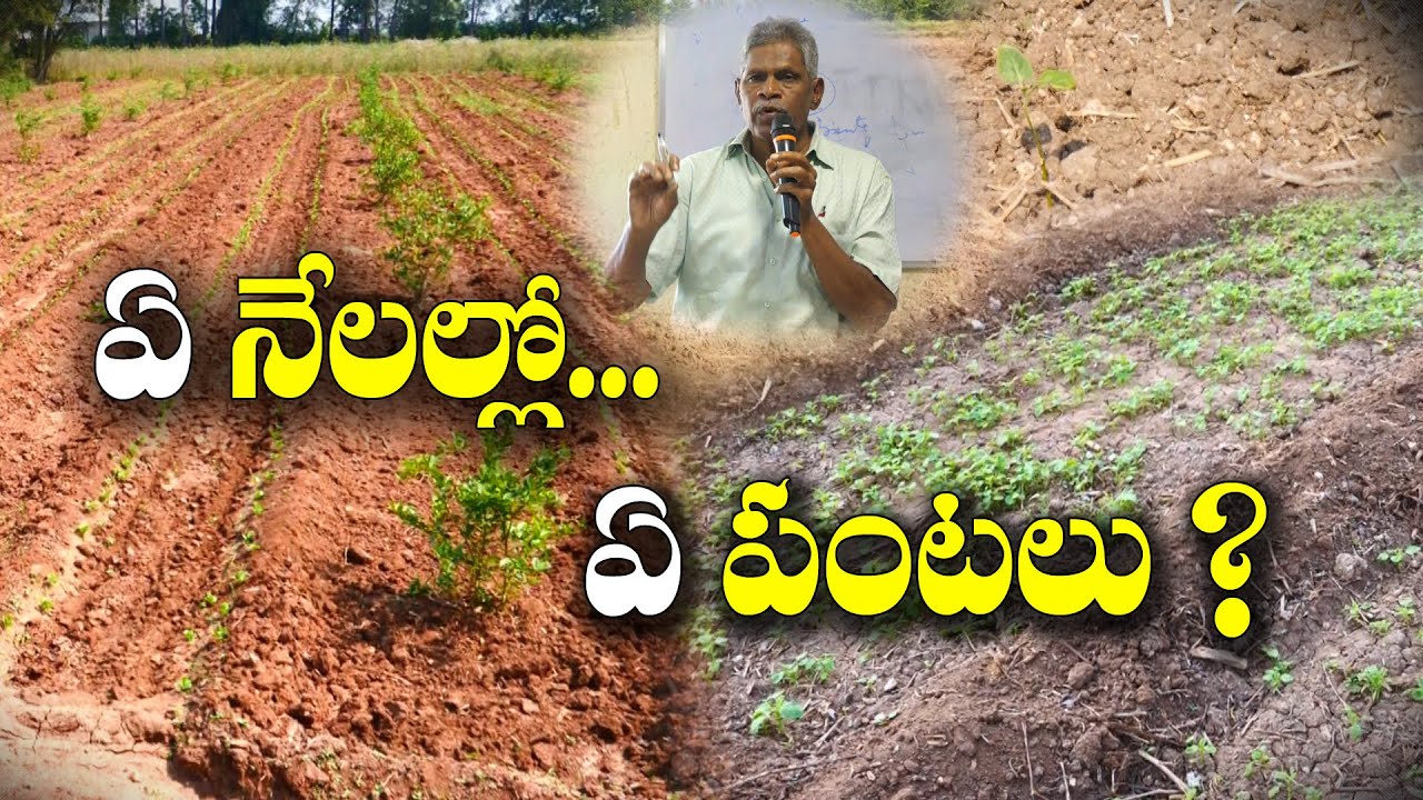 ఇలాంటి భూముల్లో పంటలు పండవు - ఎందుకంటే ? Soil Types & Crops | Veeraiah