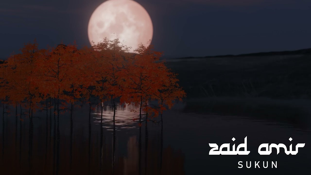 Zaid Amir - SUKUN (Nasheed Background) | آهات إسلامية