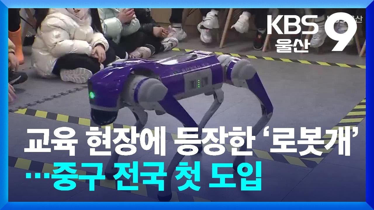 교육 현장에 등장한 ‘로봇개’…중구 전국 첫 도입 / KBS  2026.03.13.