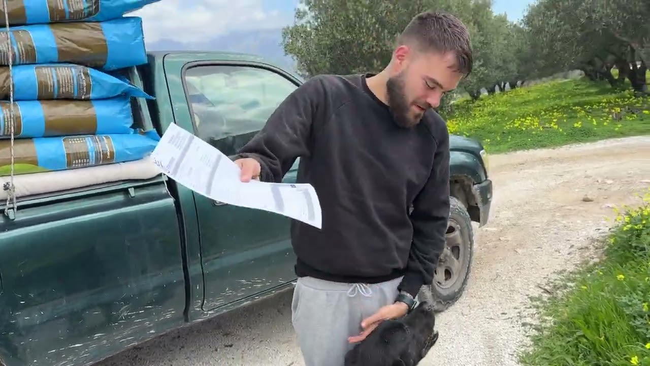 День доставки еды в приют 🚚❤️ - Приют Такис