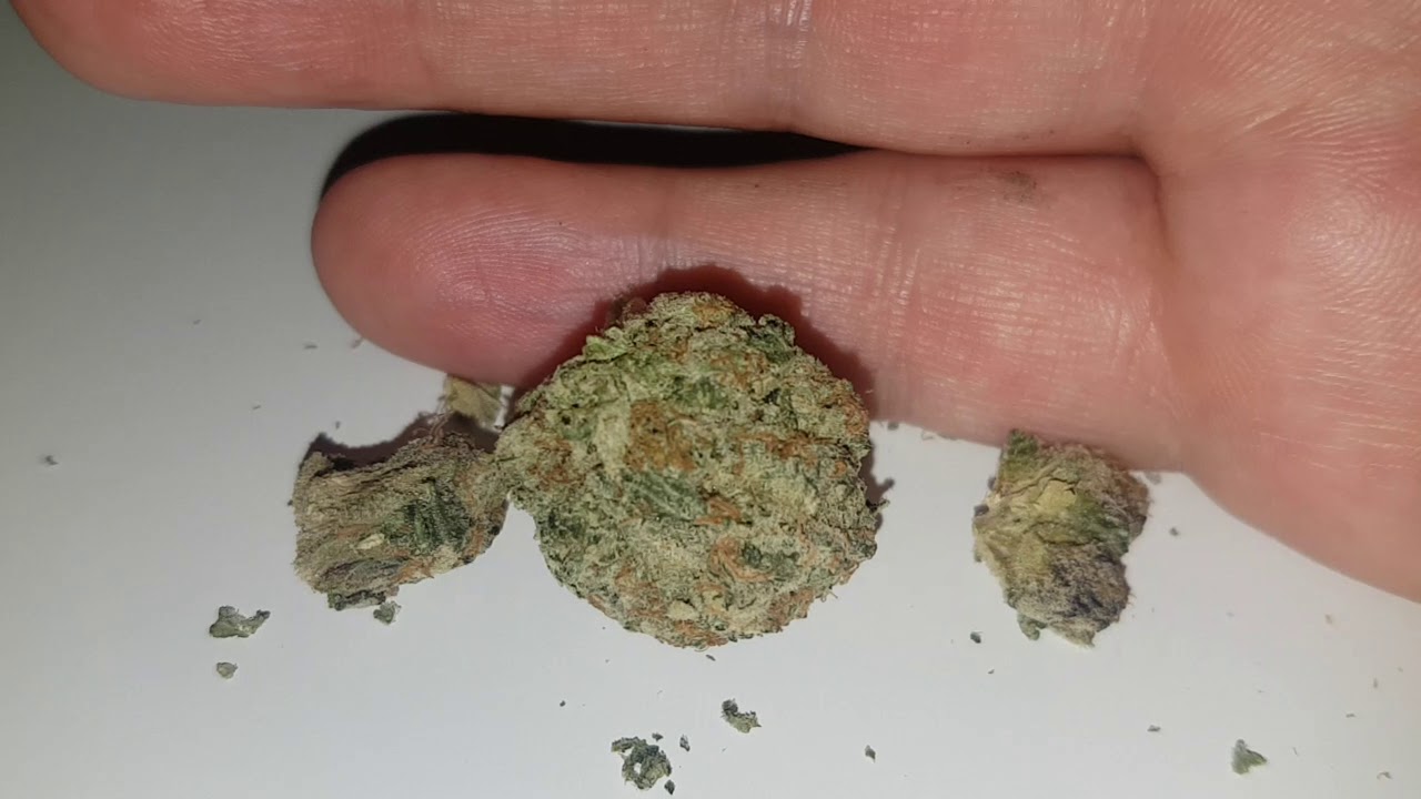 STRAIN REVIEW 021: juicy fruit AAA - Piffery