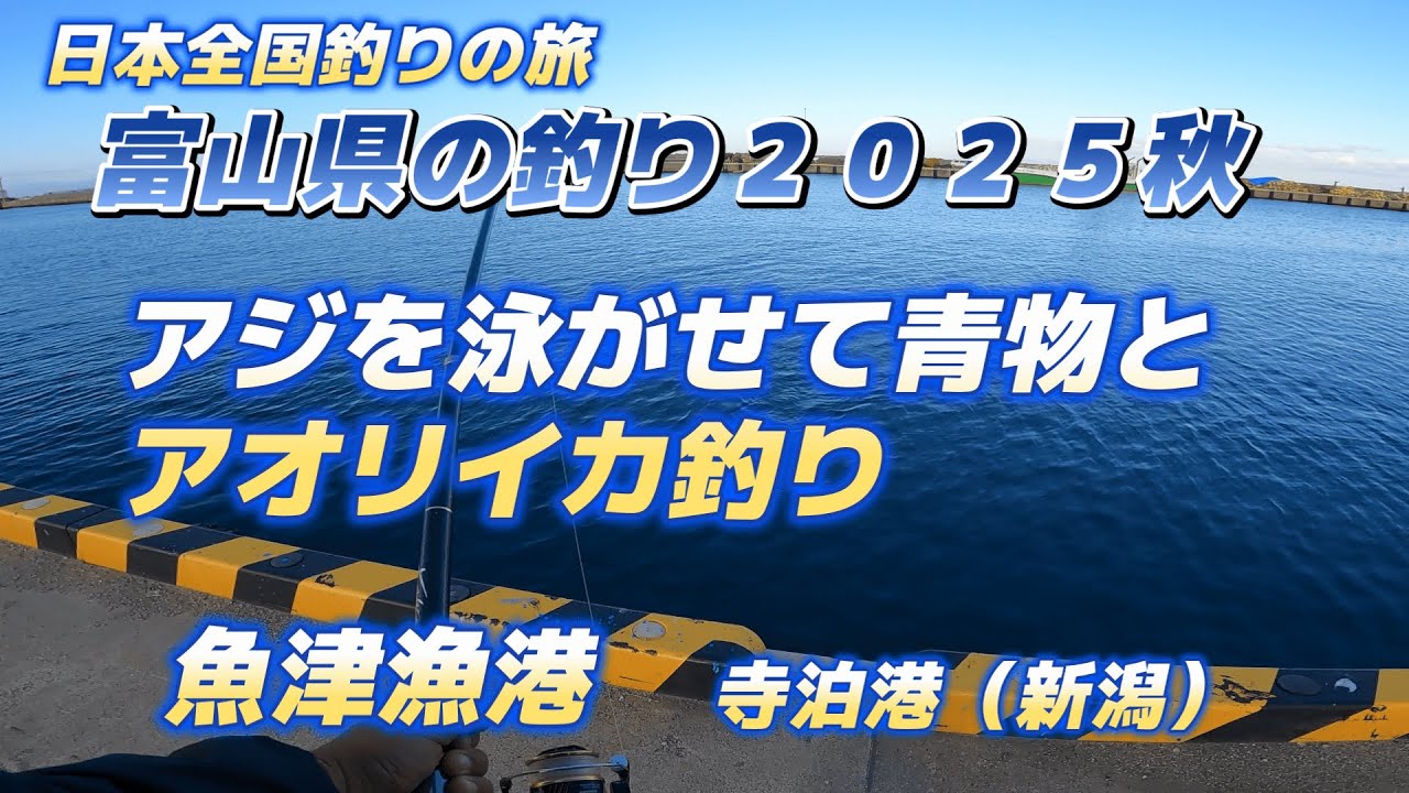 富山県の釣り２０２５秋（魚津漁港・アオリイカと青物釣り）・新潟県のつり（寺泊港）「キャンピングカー車中泊で北海道～沖縄日本全国釣りの旅」