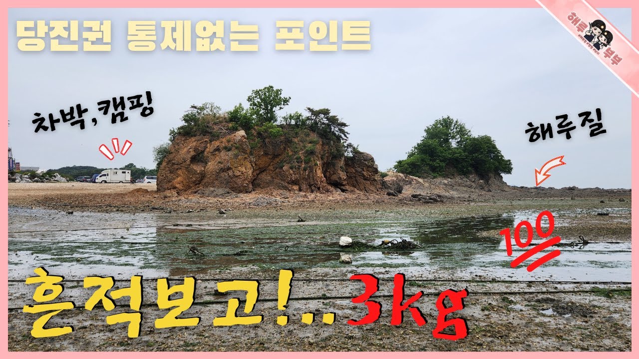 해루질 수도권에서 가깝고 통제없이 바지락캐기 만통하는곳