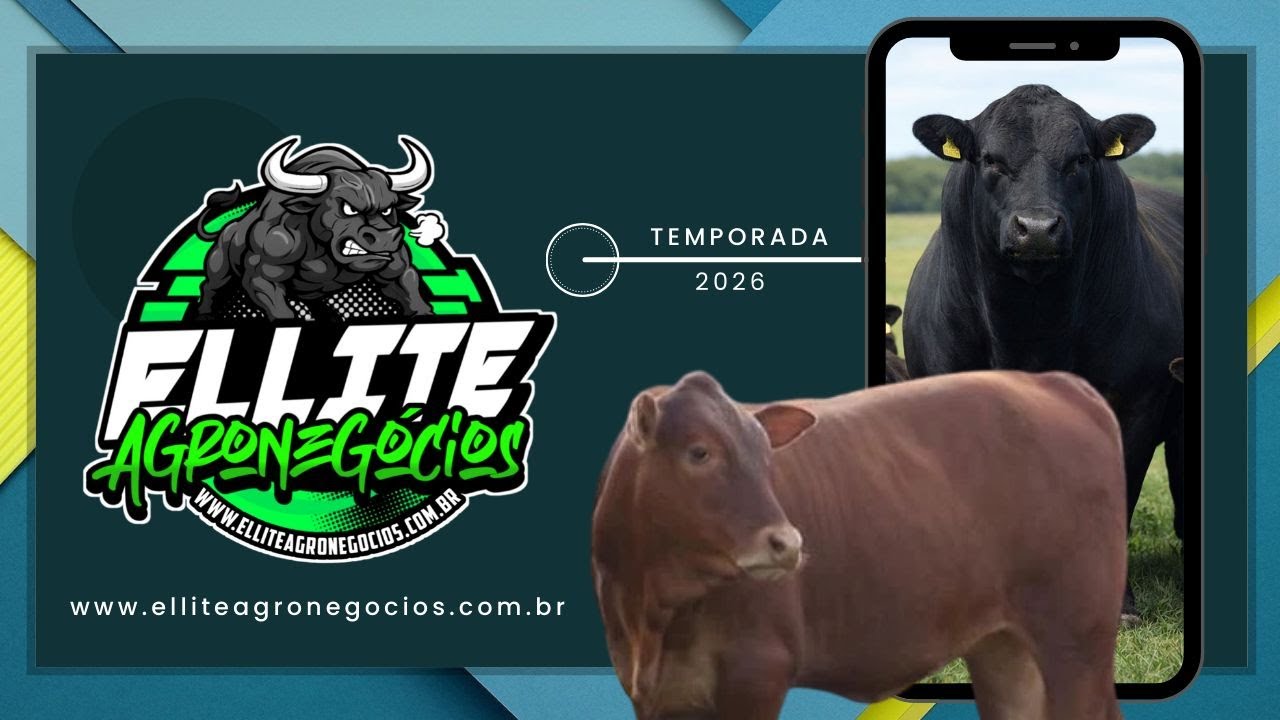 CESINHA LEIL&Otilde;ES - CAJURU SP  - 18/03/2026