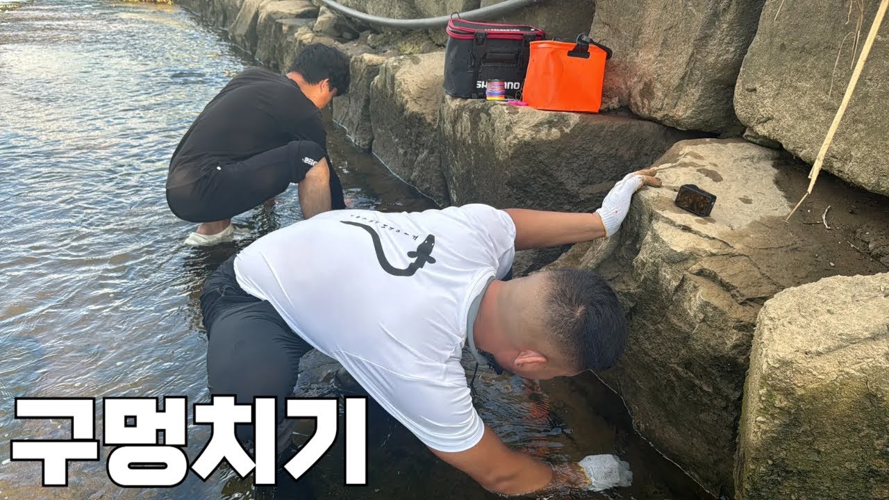 상상초월!? 논뚜렁 옆 돌틈엔 이런게 산다!?말도 안 된다!!?
