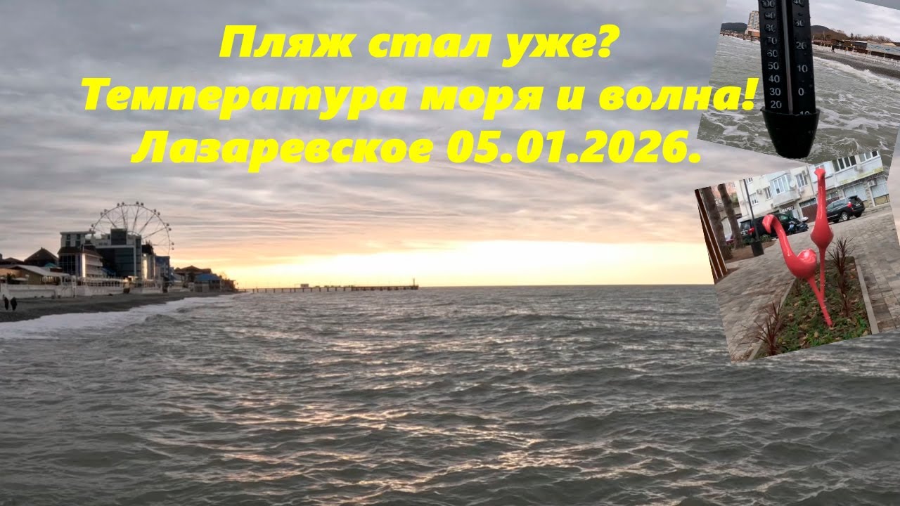 Пляж стал уже? Температура моря и пьяные фламинго! Лазаревское 05.01.2026.