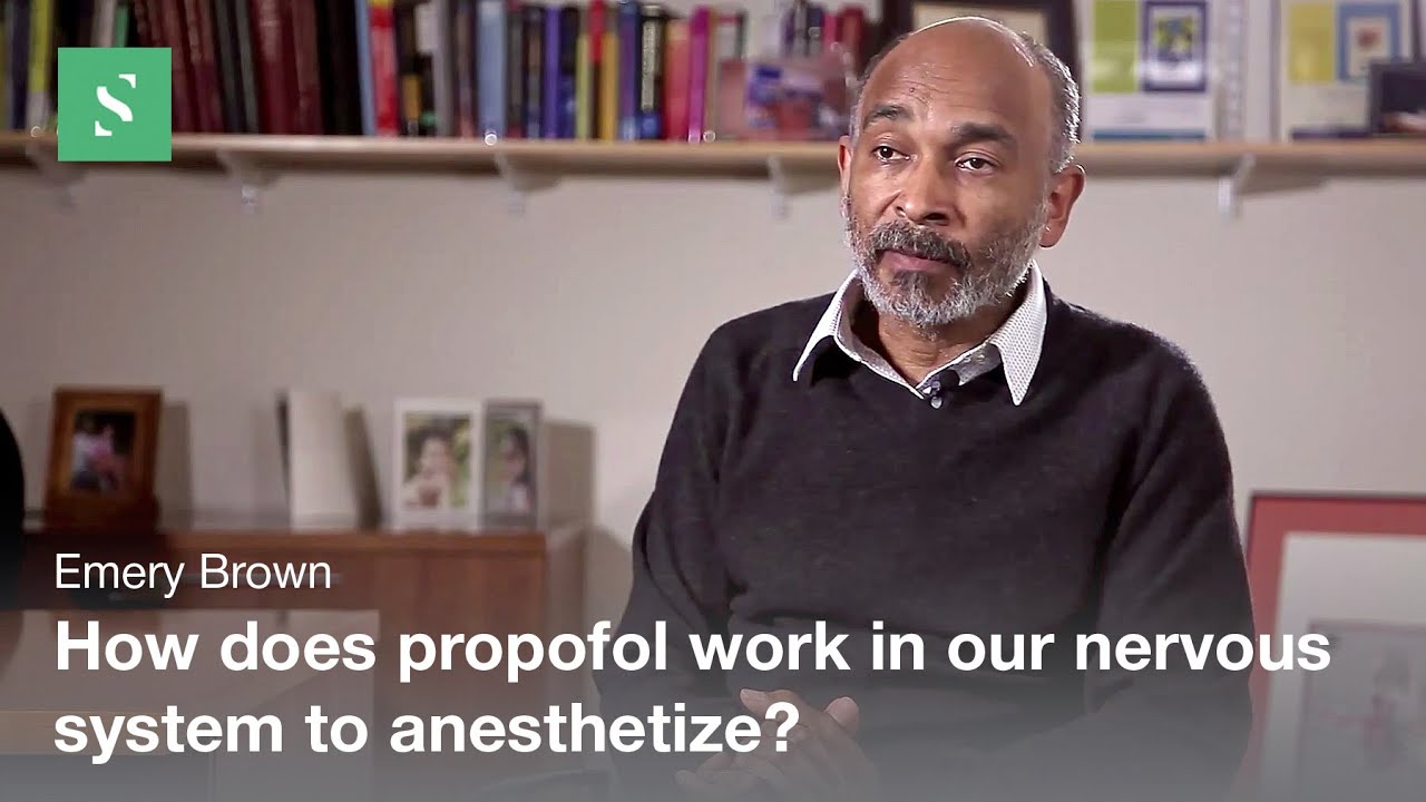 Propofol as a Widely Used Anesthetic &ndash; Emery Brown / Serious Science