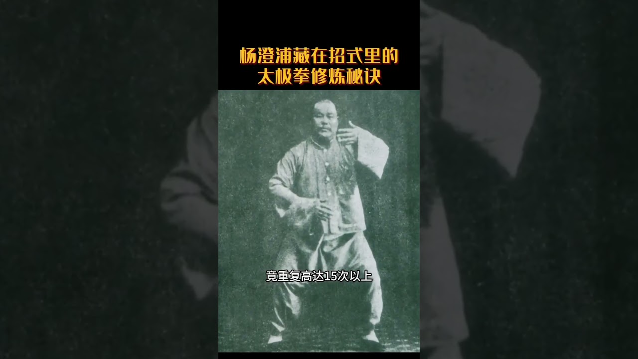 原理楊澄浦宗師早就把太極拳的修煉秘訣藏在招式裏了，當我用現代數據分析楊式太極拳85式，我發現了直指核心的修煉秘訣。#太極拳 #武術 #功夫