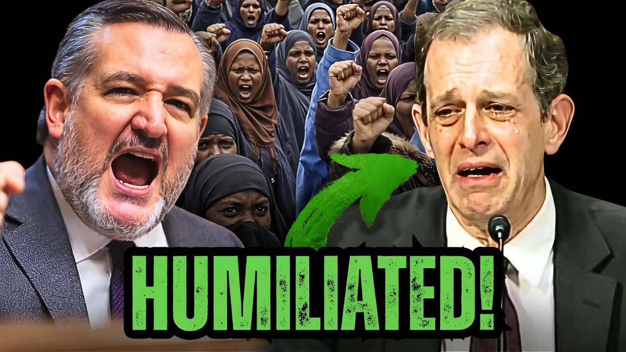Liberal Jew DEFENDS Somali Fraud, & Gets DEEP Fried By Ted Cruz