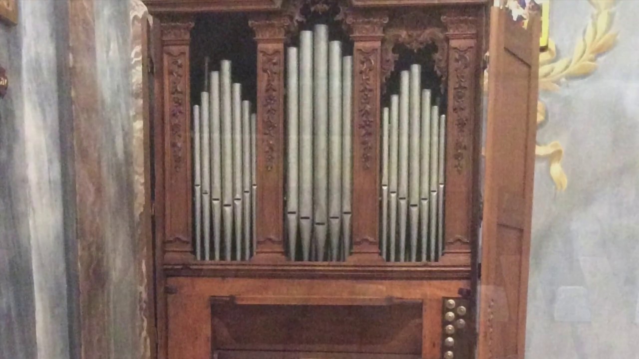 Organi in Provincia Granda. Ritratti (1)