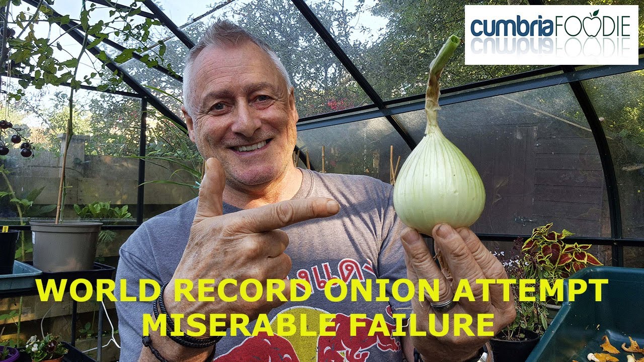 HOW TO GROW GIANT ONIONS - My attempt at World record sized show Onions.