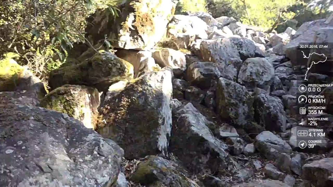 Alphen Trail - Newlands Forest - UCT - Contour Path - Gardens