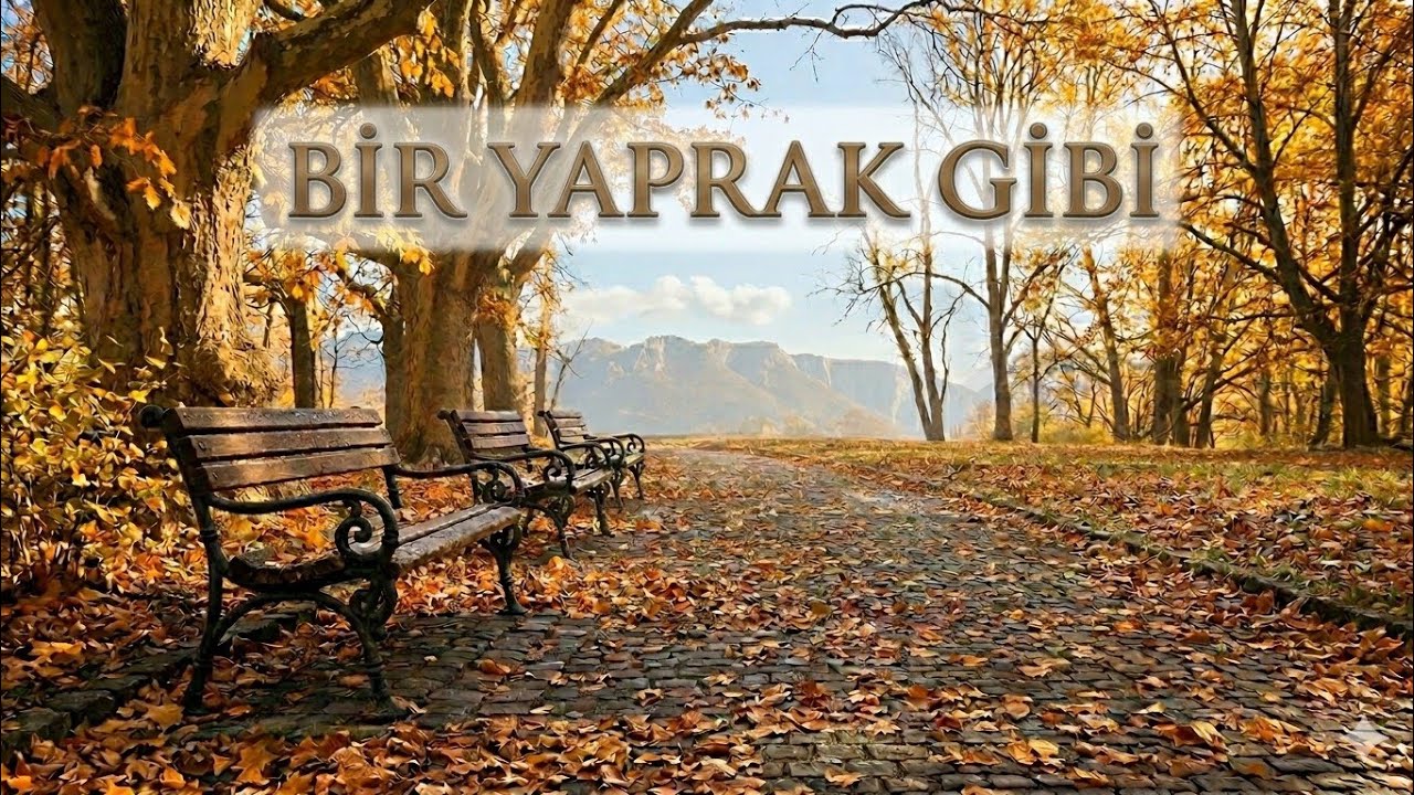 BİR YAPRAK GİBİ  