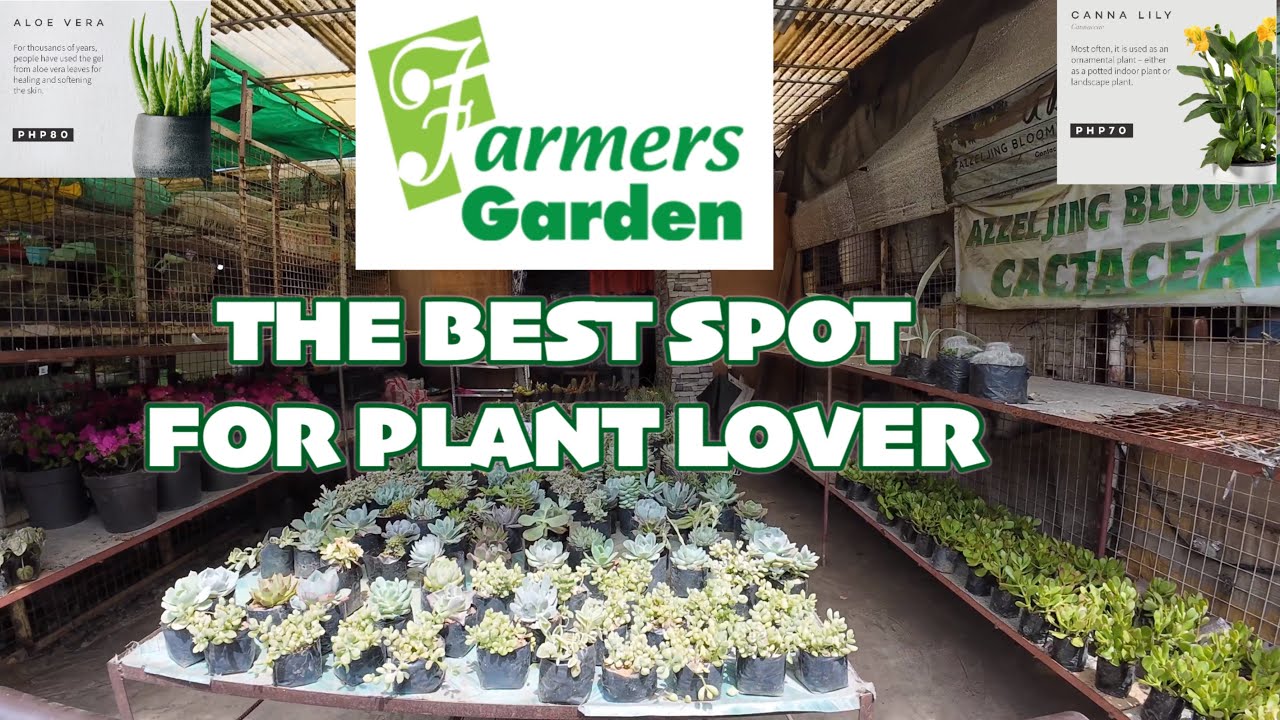 FARMERS GARDEN PLANT HUNTING TOUR | PLANTS ARE SO CHEAP