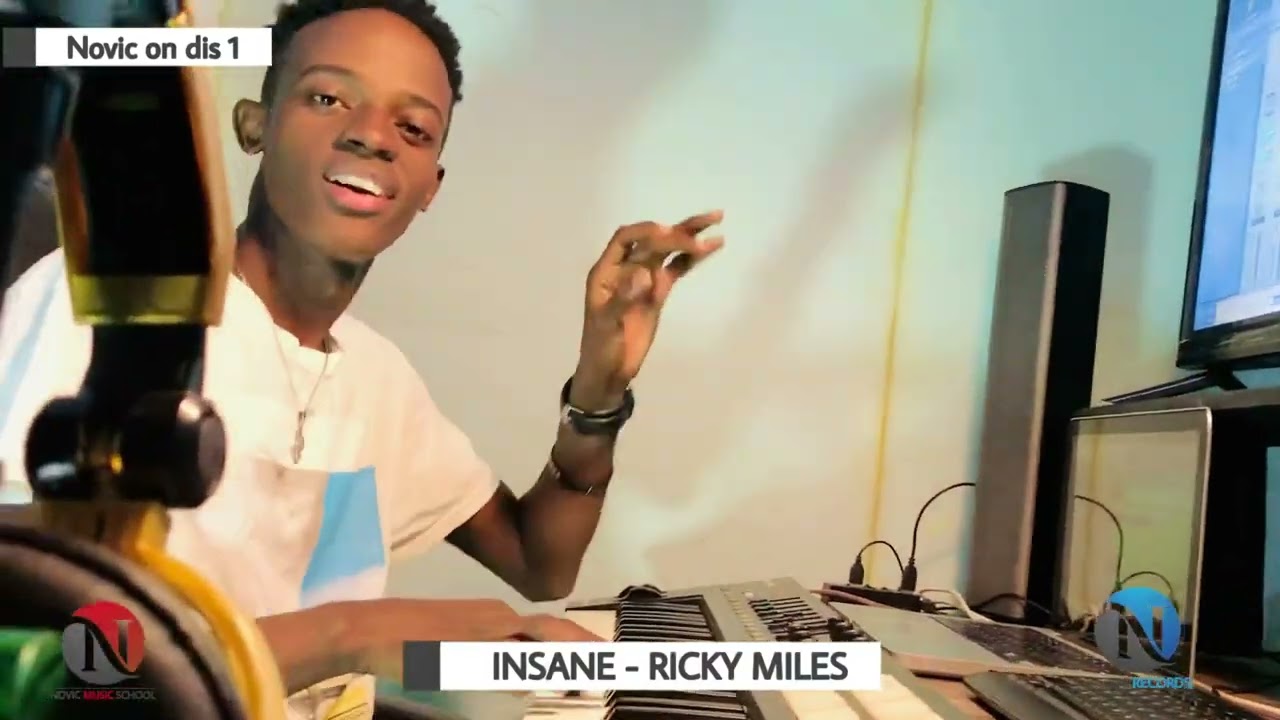 Insane (Cover) - Ricky Miles (Novic on dis 1)