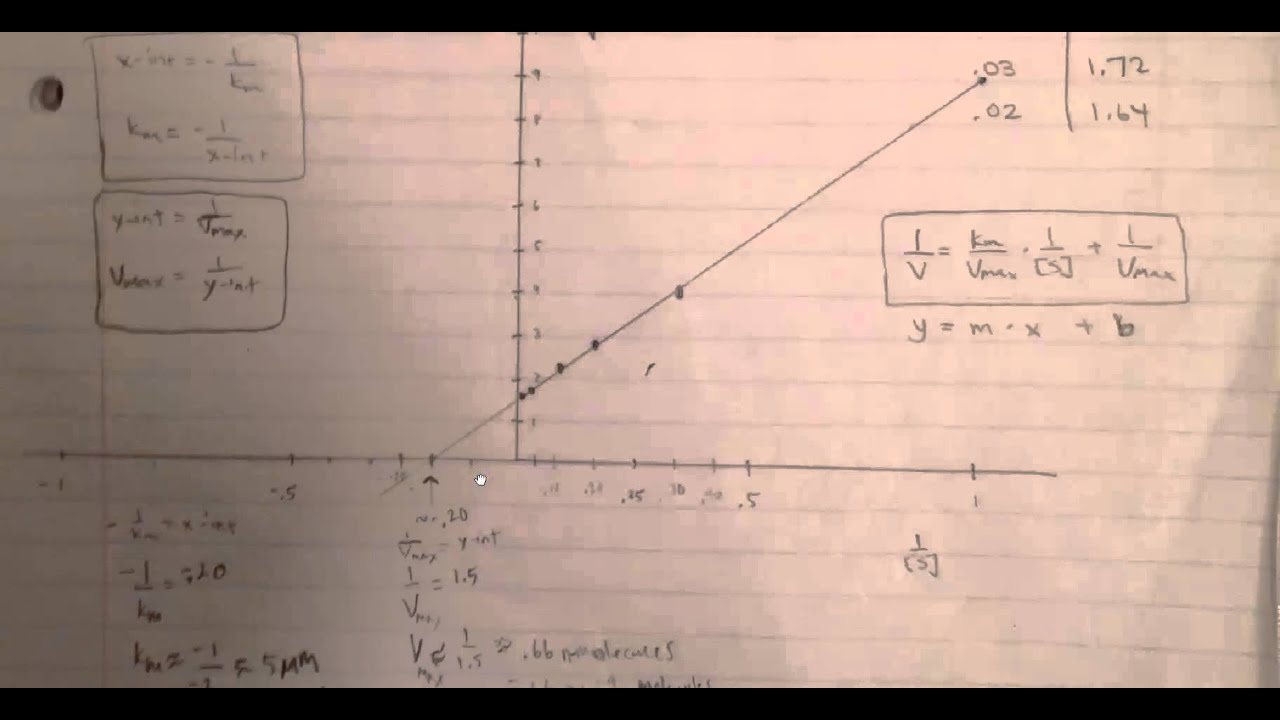 Enzymes (Part 5 of 5) - Lineweaver Burk Plot Example