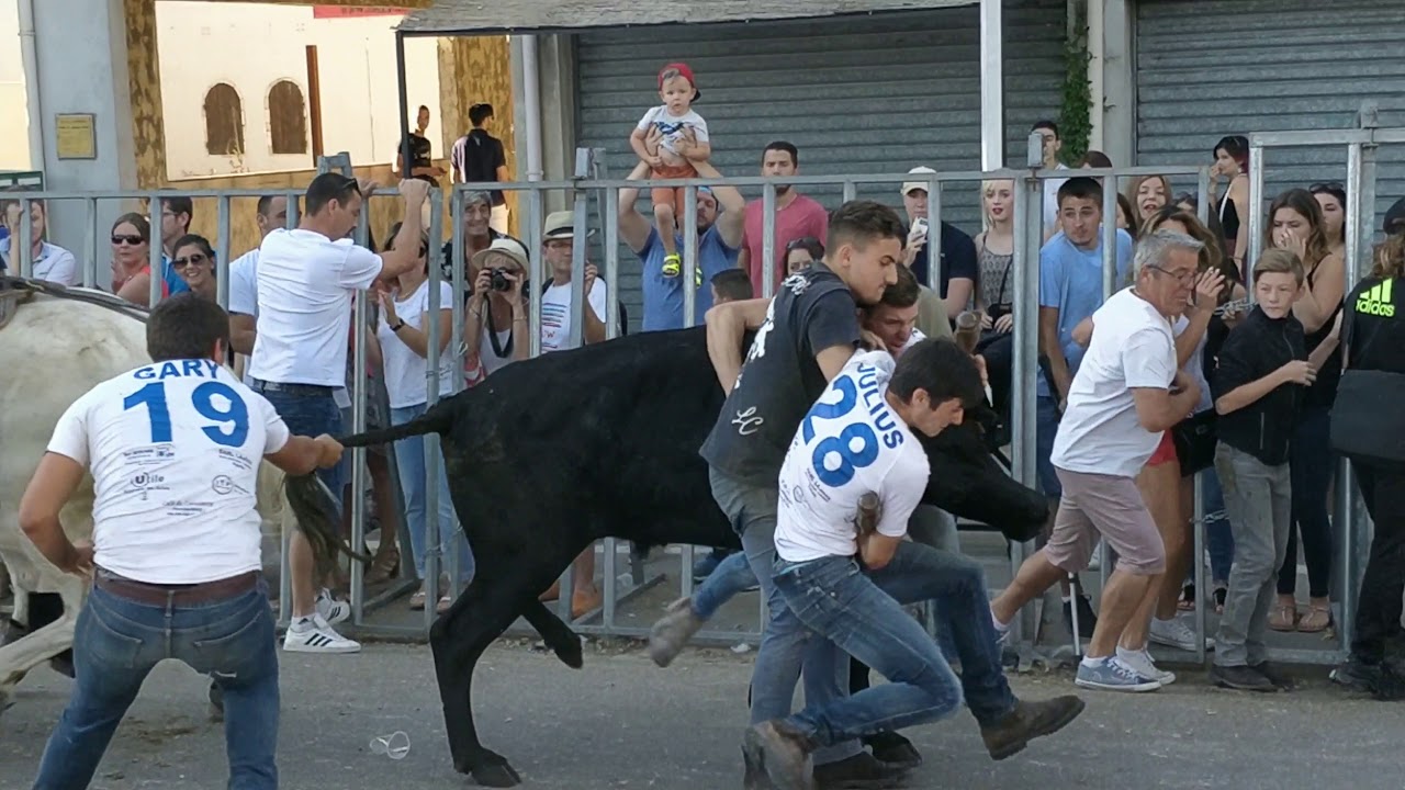 Concours d'Attrapaïres Raphèles-les-Arles 23/06/18