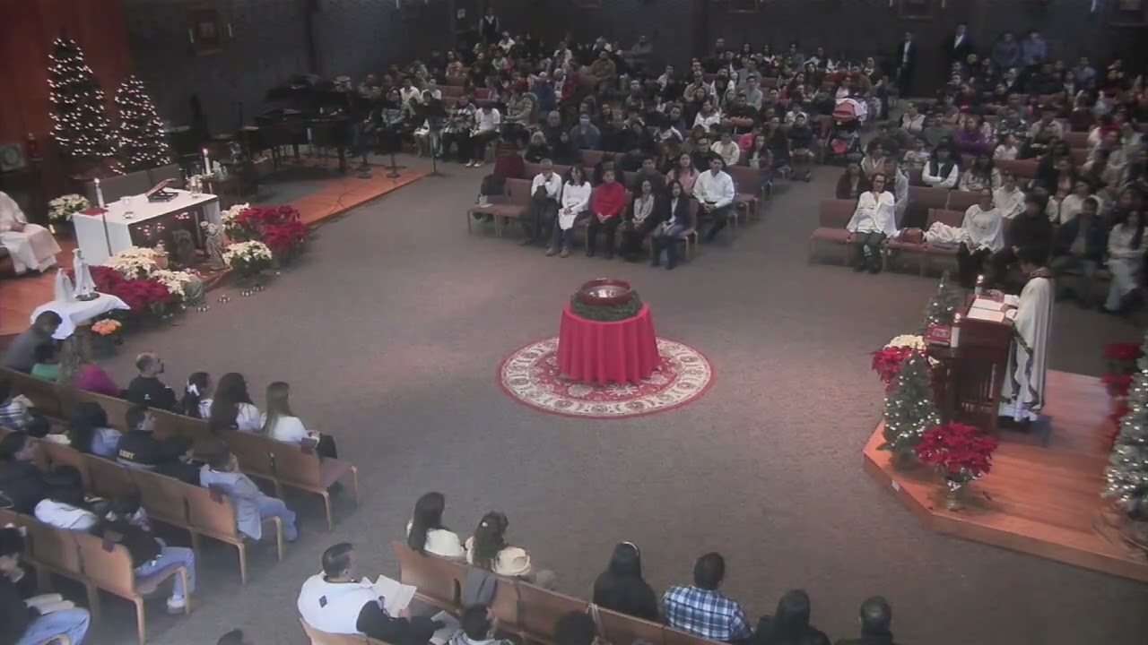 2026 01 11 1215 PadreFrans BaptismOfTheLord Spanish Homily