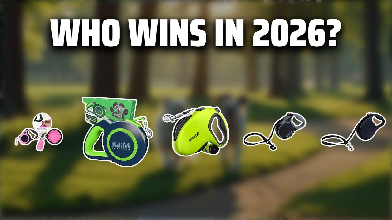 The Top 5 Best Kong Retractable Leash in 2026 - Must Watch Before Buying!