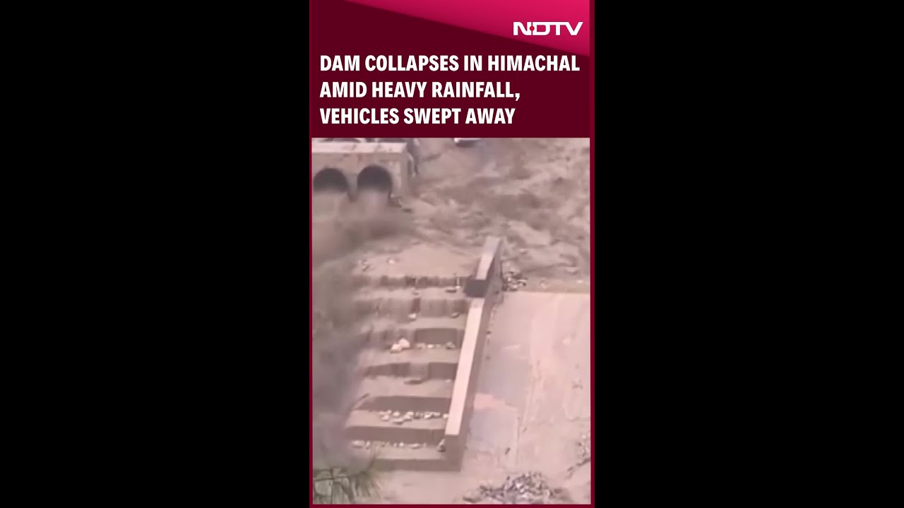 Dam Collapses In Himachal Amid Heavy Rainfall, Vehicles Swept Away