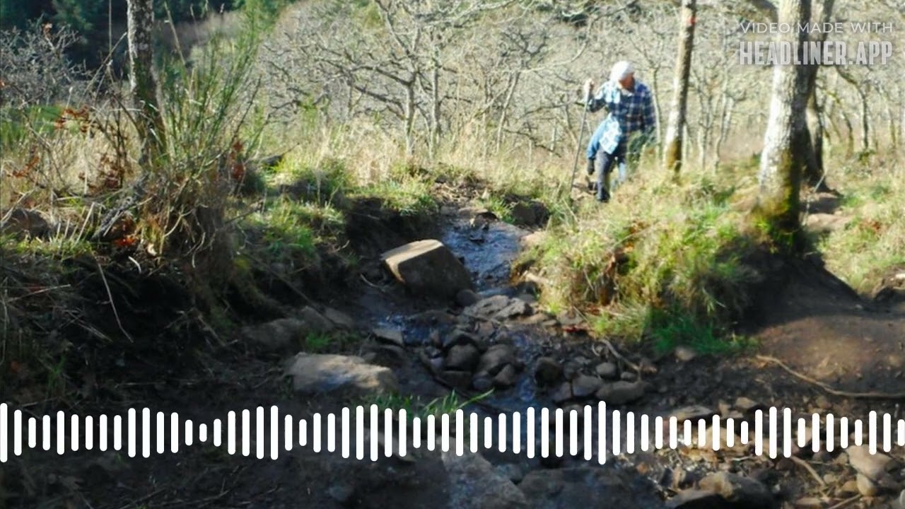 Churchill Dr. Hike | The Running Jackal