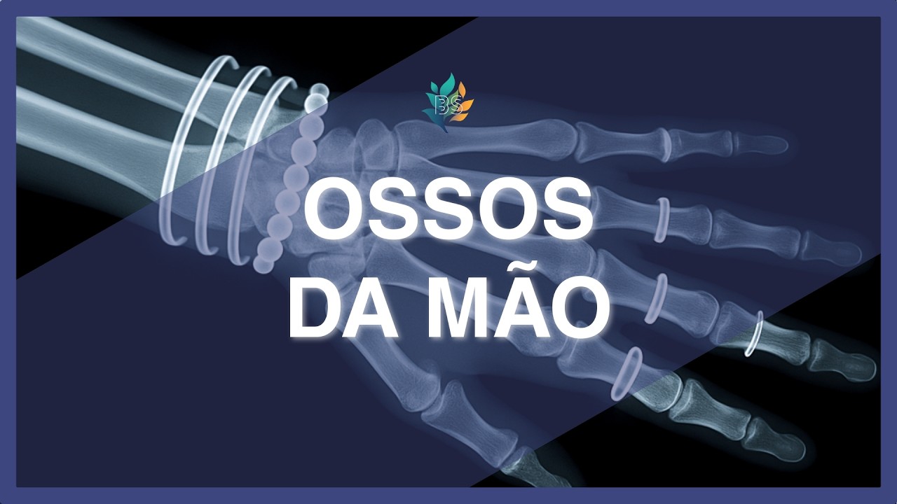 OSSOS DA MÃO (carpo, metacarpo e falanges) - Anatomia Humana com dicas para memorizar