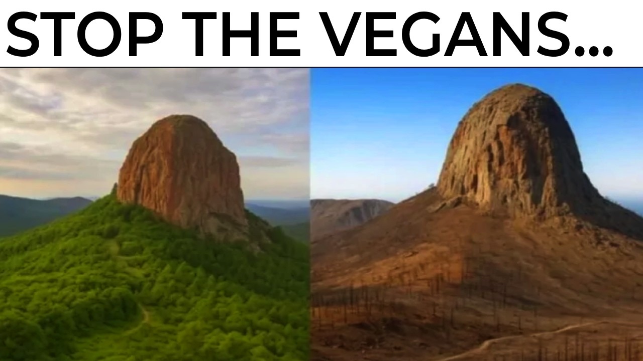 Vegan Memes