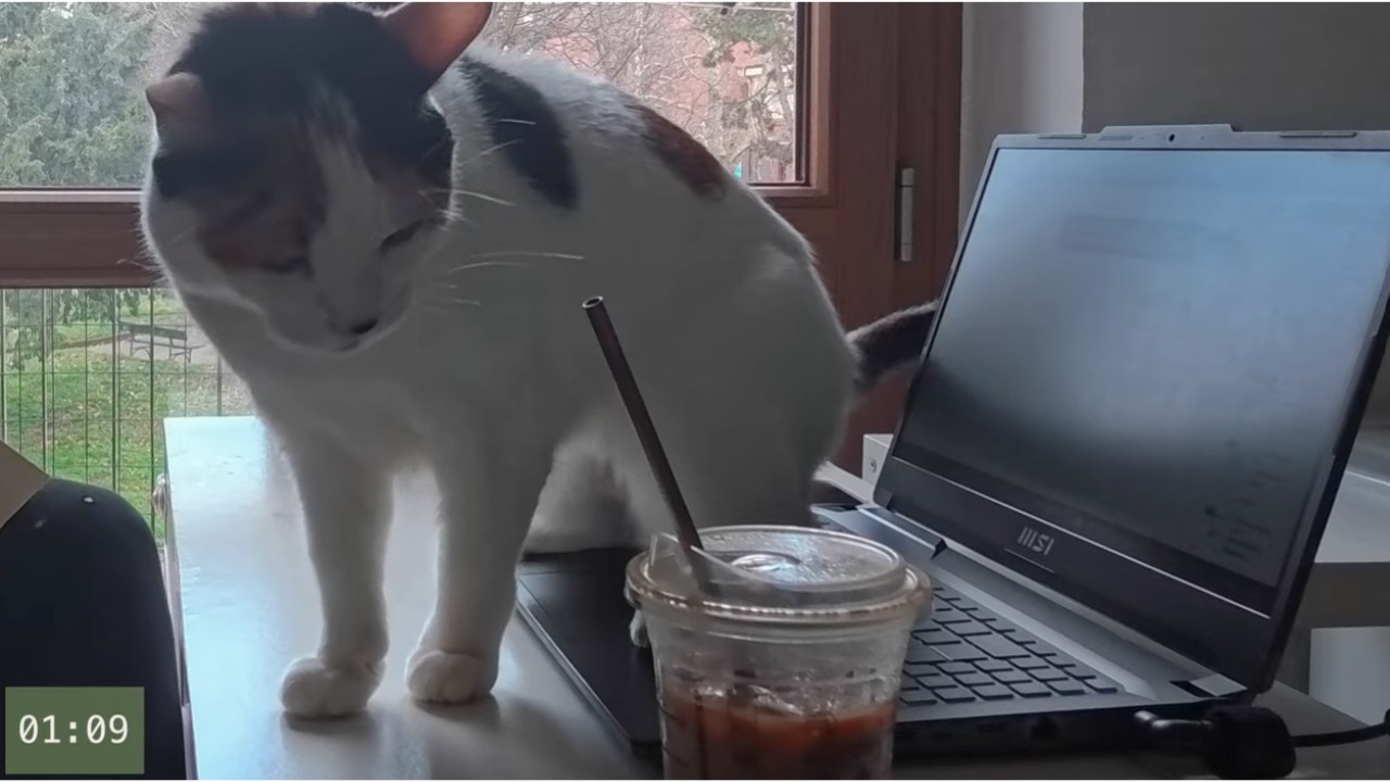 1 Hour Study With Me - 30/5 Pomodoro - Calm Piano & Cat