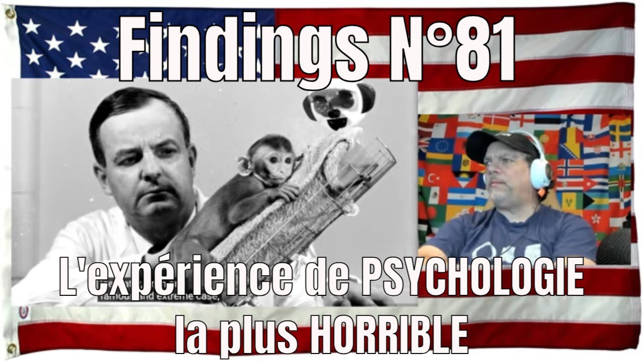 L'expérience de PSYCHOLOGIE la plus HORRIBLE - Findings N°81 - REACTION
