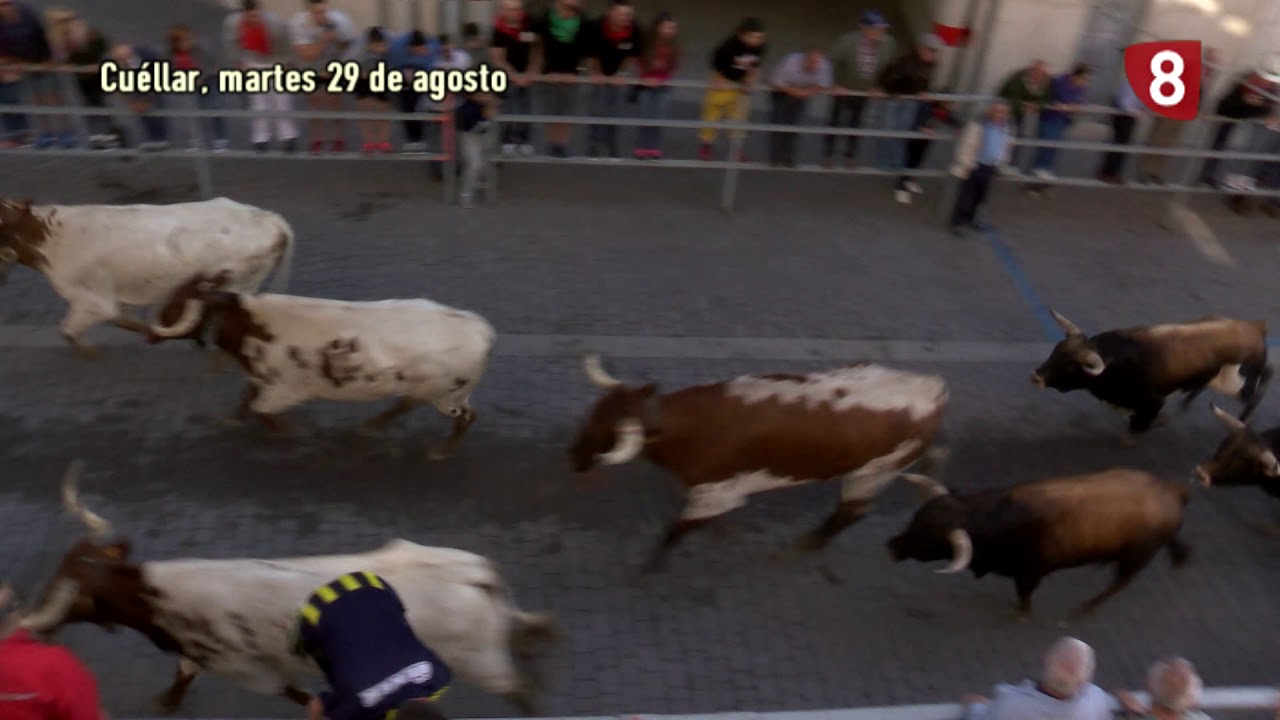 Fiestas de Cuéllar: Tercer Encierro, Martes 29 de agosto