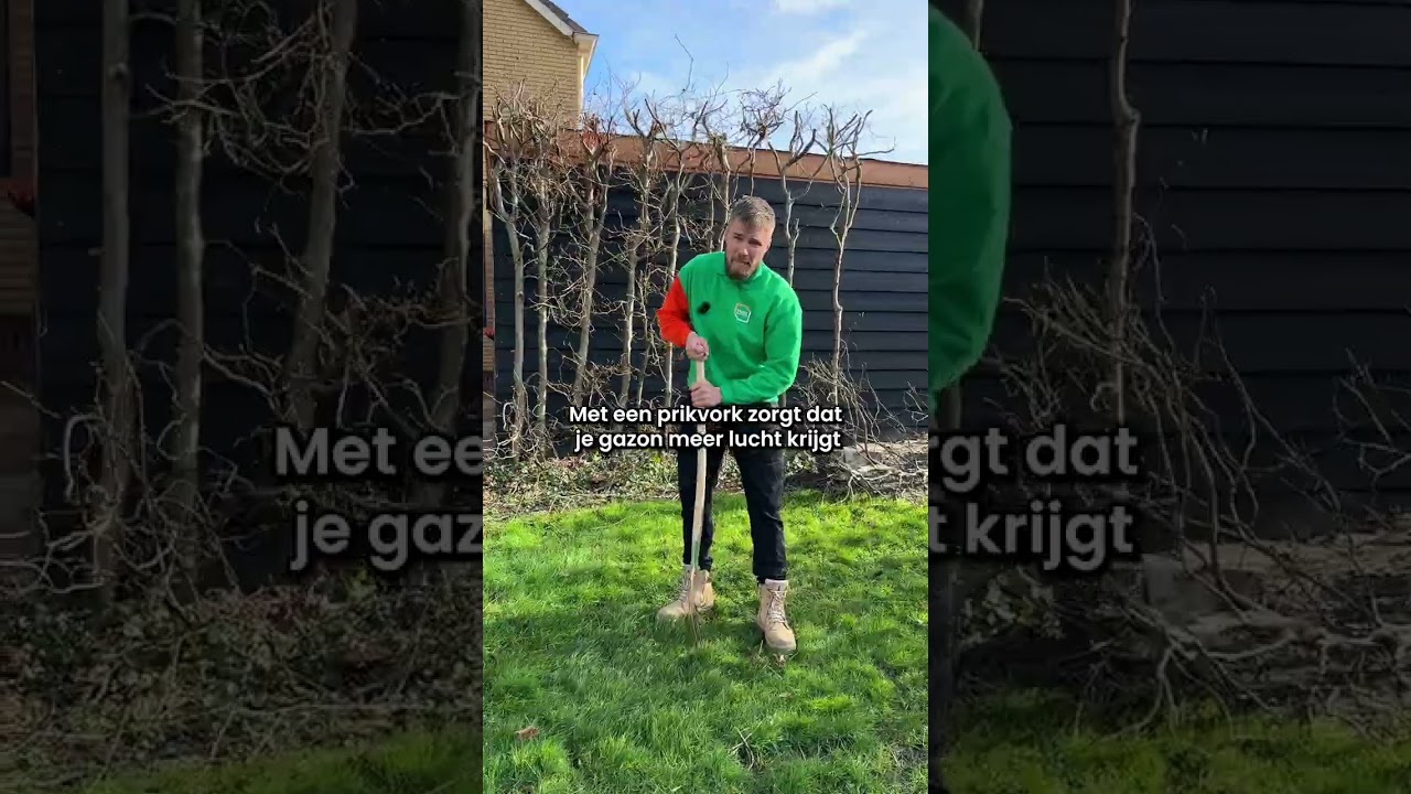 Gebruik deze tips voor een mooi gazon!