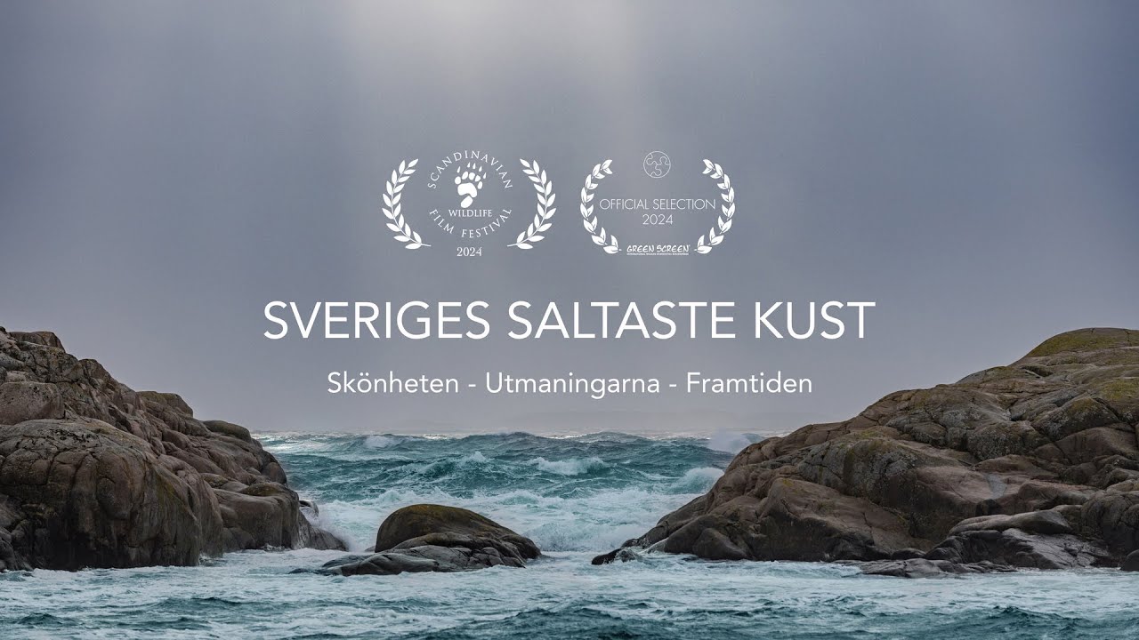Sveriges Saltaste Kust