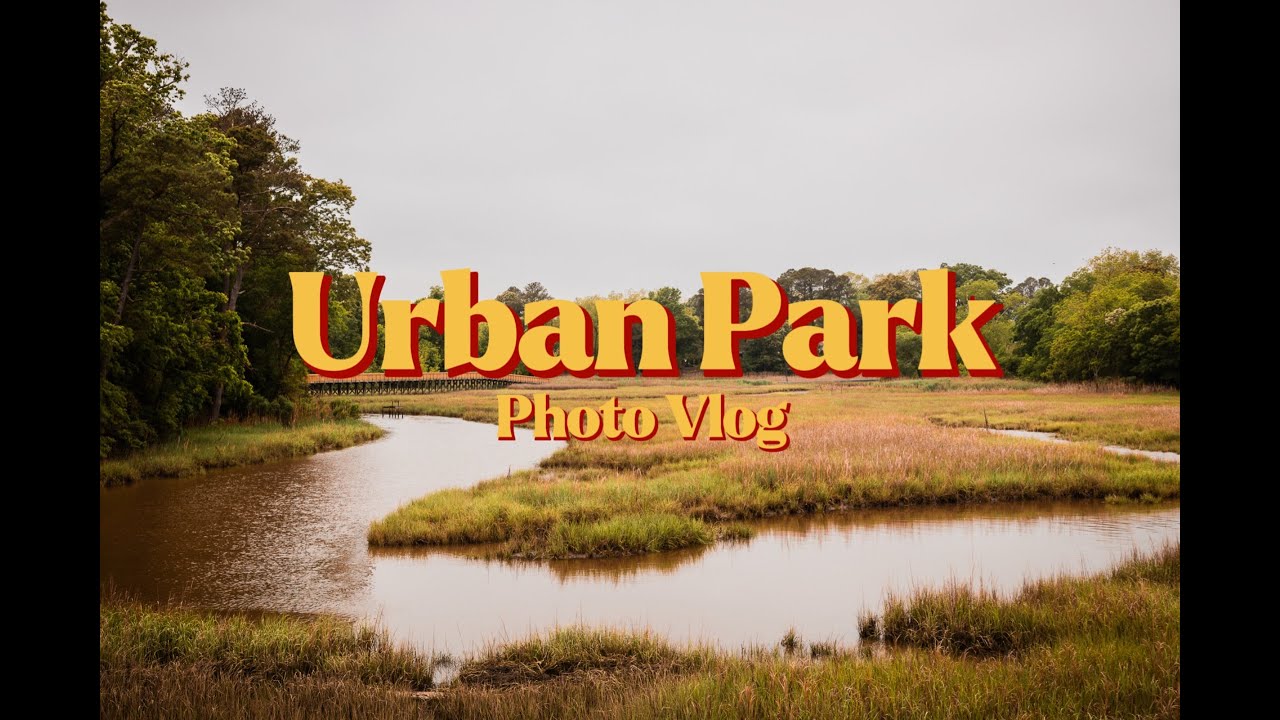 Photo Walk in an Urban Park: Nature Sounds & Scenic Views