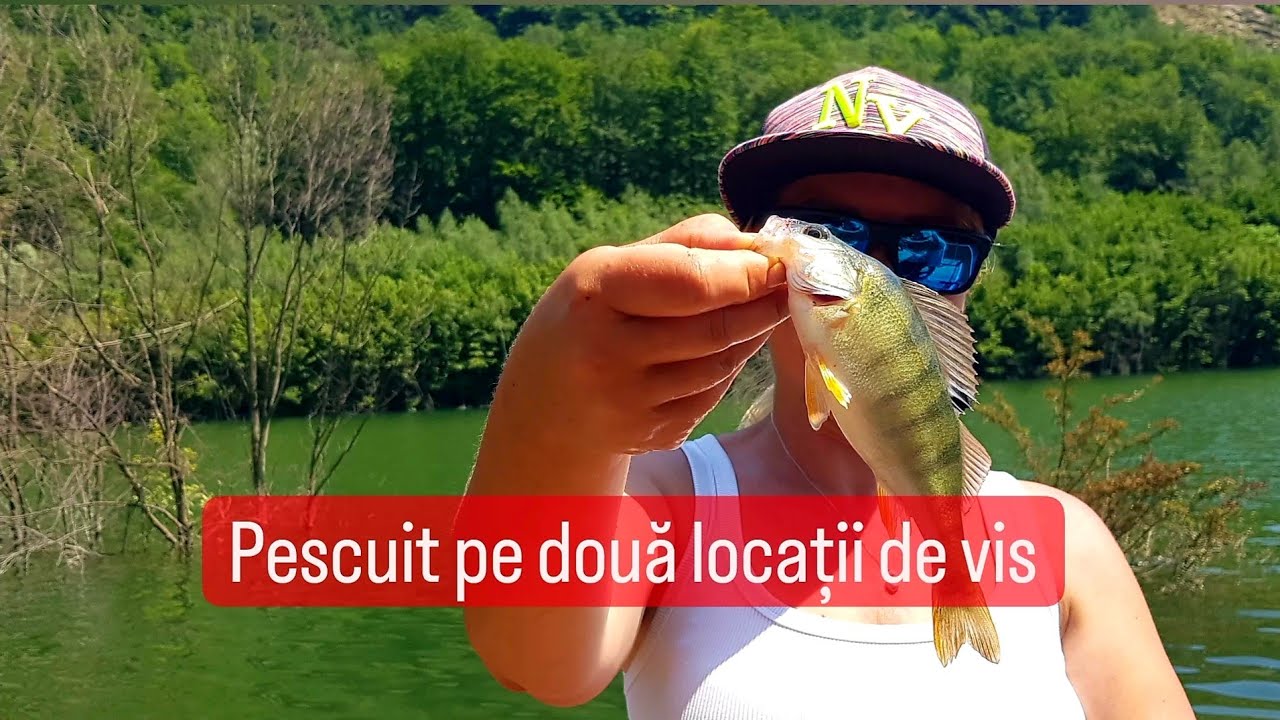 Pescuit și gătit la Iazul din Vamă #romania #pescuit #summer