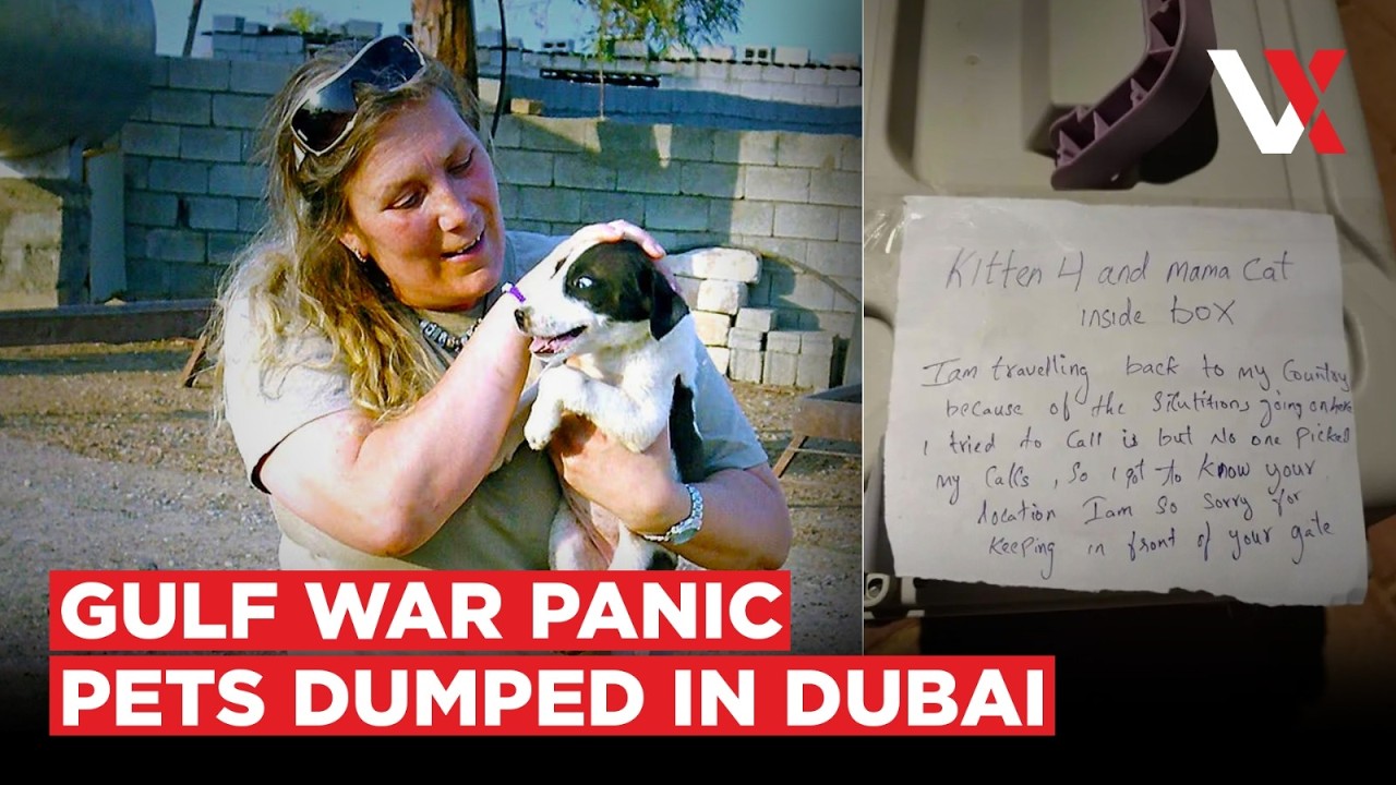 Pets Tied To Poles, Goodbye Notes&hellip; | Dubai Shelters Overwhelmed As Expats Flee Gulf | VERTEX