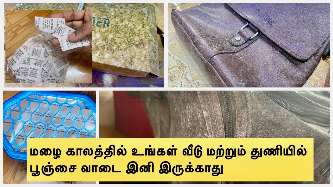 Tips to protect bags,shoes,clothes from fungus|mold/fungus treatment|moisture absorber review