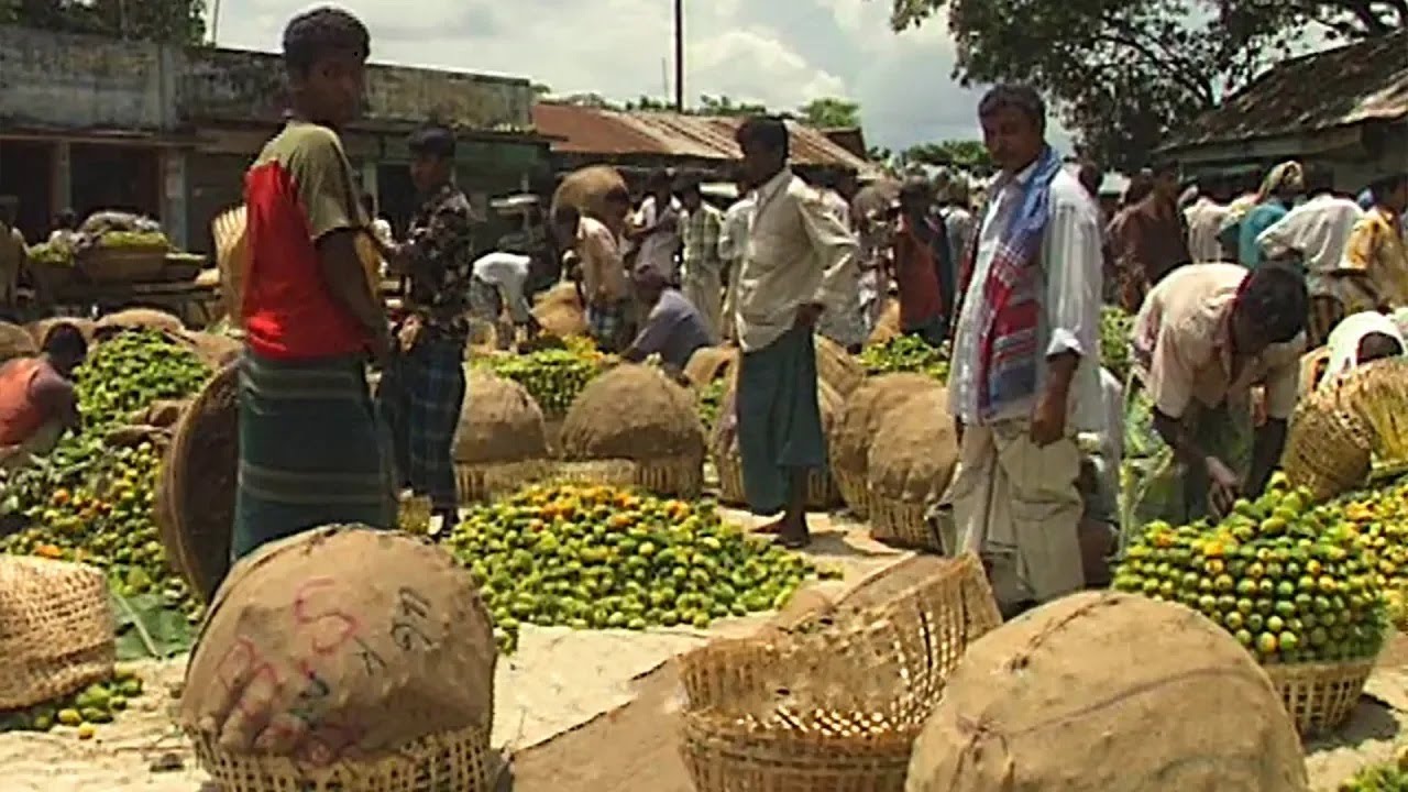 বর্ষায় আড়িয়াল খাঁ নদের পাড়ে নরসিংদীর জংলী শিবপুর হাট