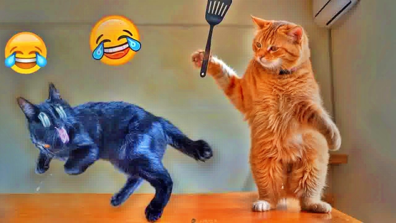 You Laugh You Lose😍Funniest Dogs and Cats 2026😹🐶