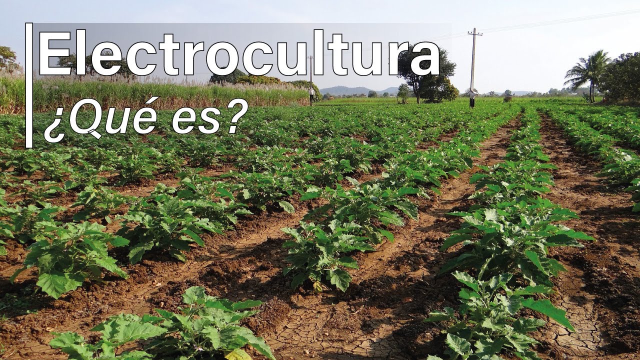 Electrocultura (Electrocultivo) | QU&Eacute; ES, BENEFICIOS, C&Oacute;MO FUNCIONA