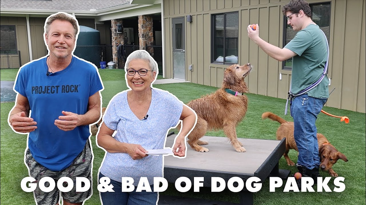 The Good & Bad of Dog Parks