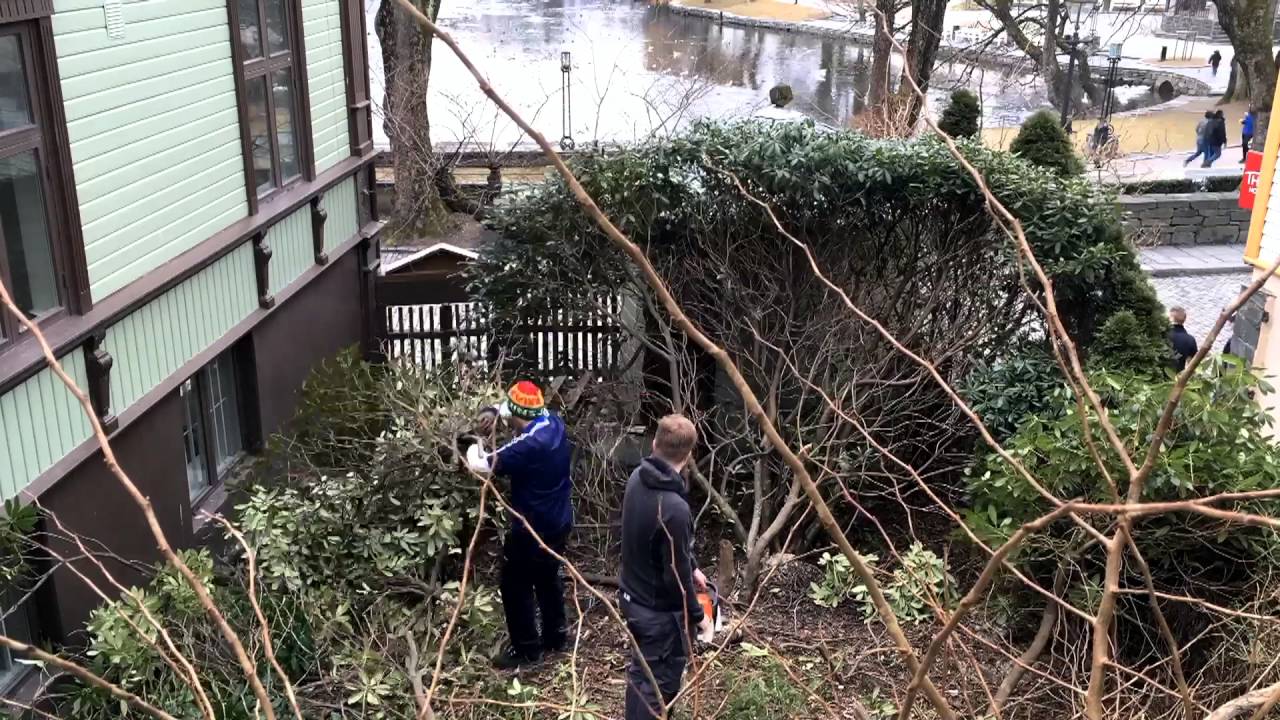 Kongsgata 34 - Rydding av hagen
