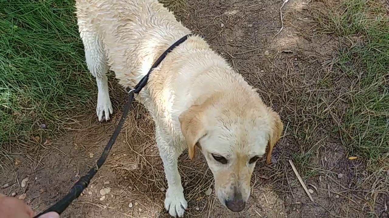RIO CABRIEL EN VILLORA