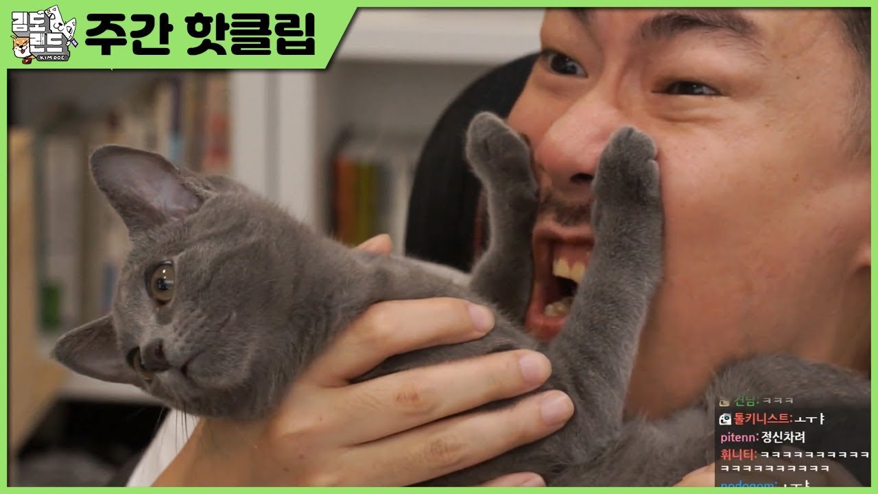 힐링에 좋은 커비 스페샬! [주간 핫클립]