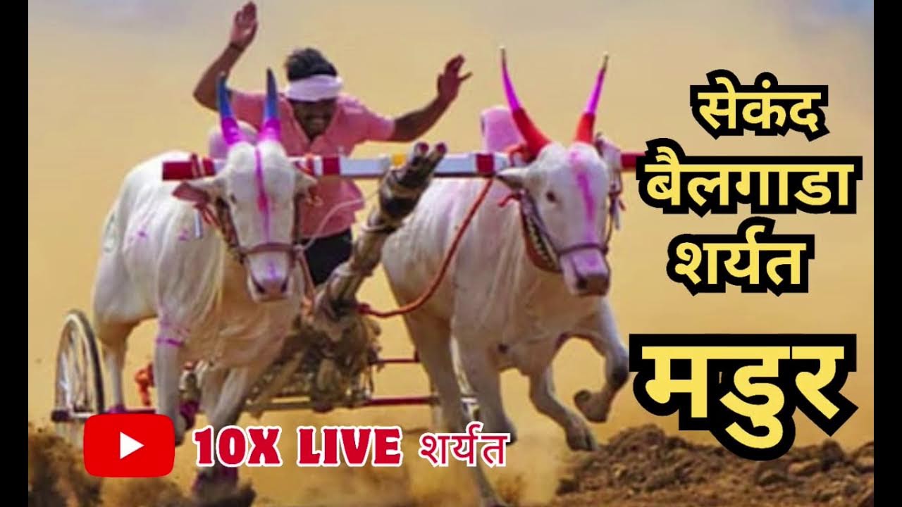 सेकंद बैलगाडा शर्यत मडूर