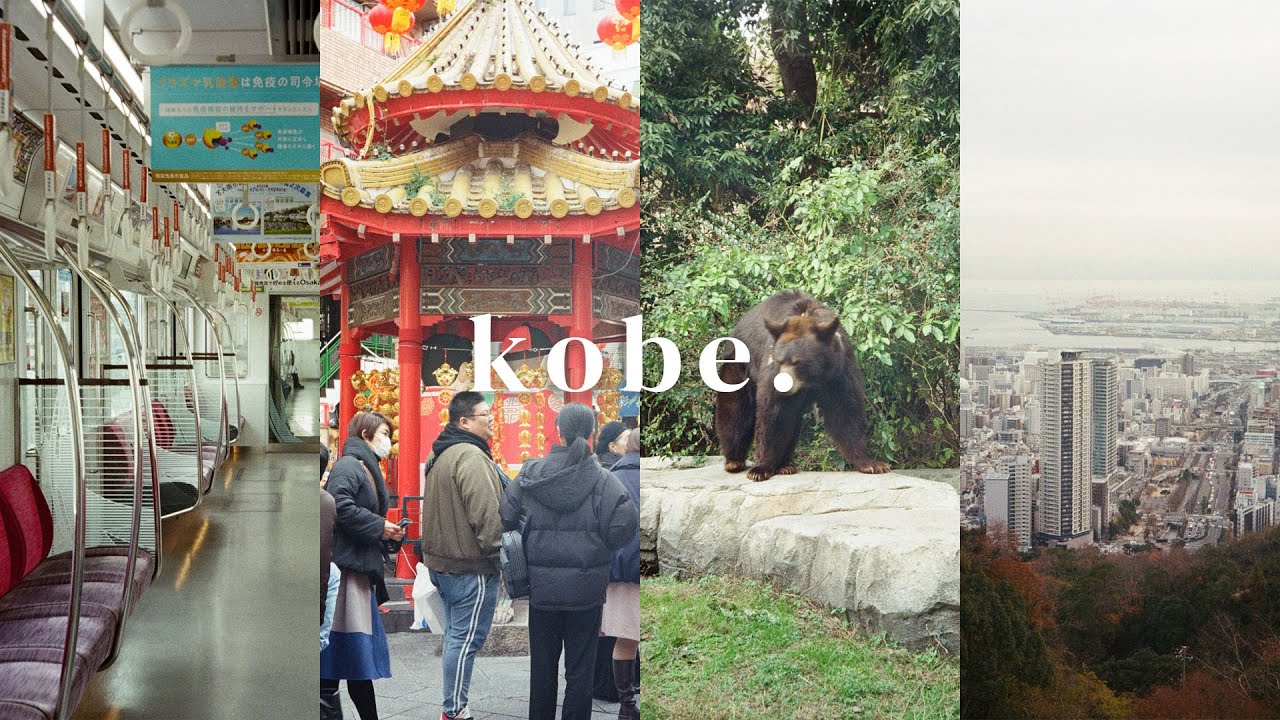 a day trip to Kobe 🇯🇵 | Animal Kingdom,  Chinatown, Christmas Market