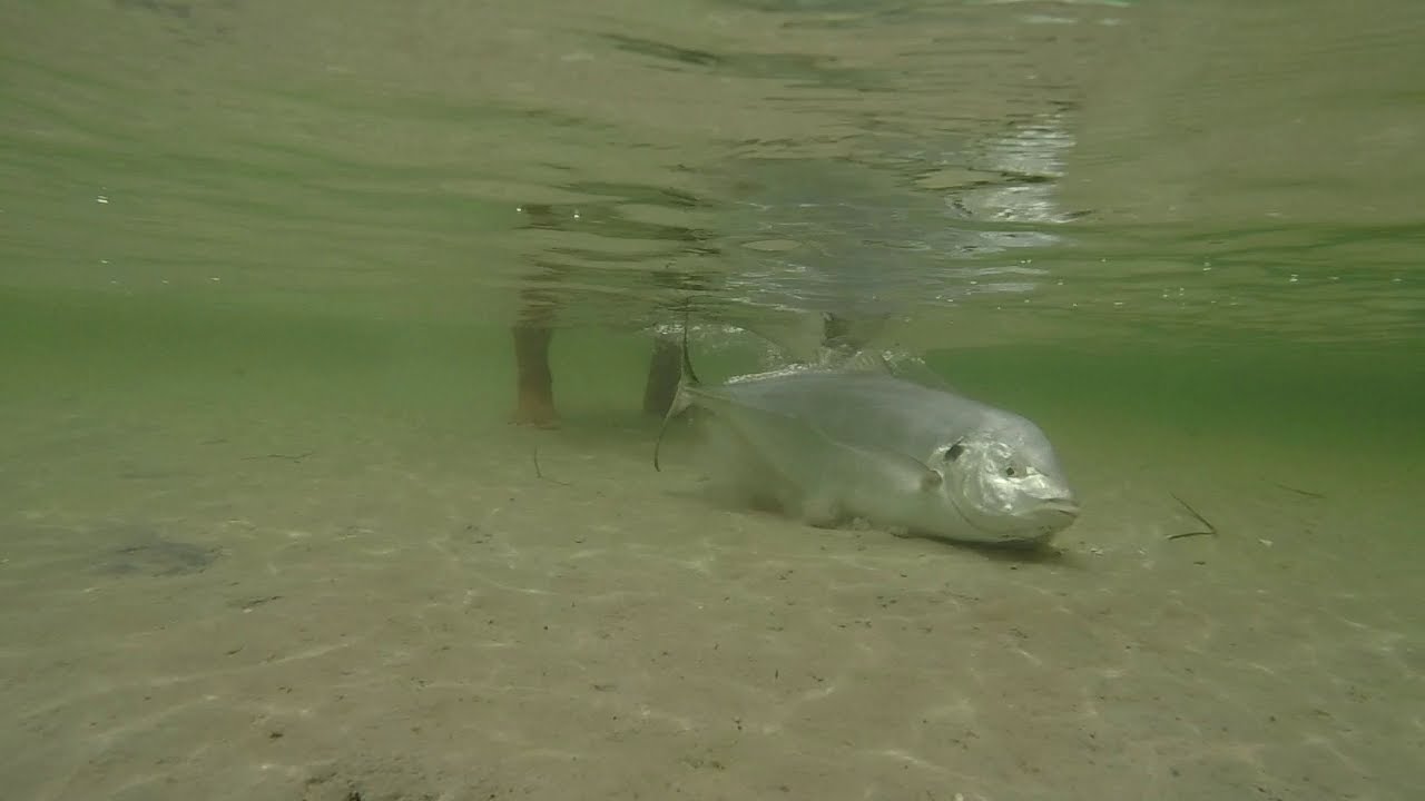 How to and a few tips and tricks surfcasting off the sand - Reel kiwi fishing adventures